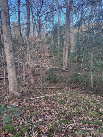 0 Hearthstone Drive Union Mills NC 28167
