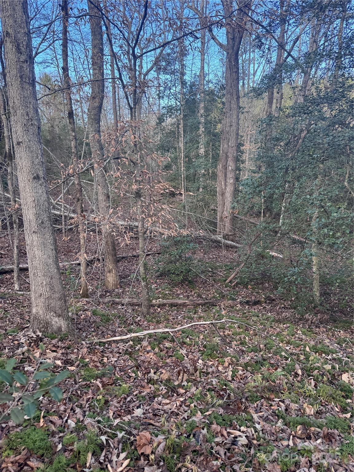 0 Hearthstone Drive Union Mills NC 28167