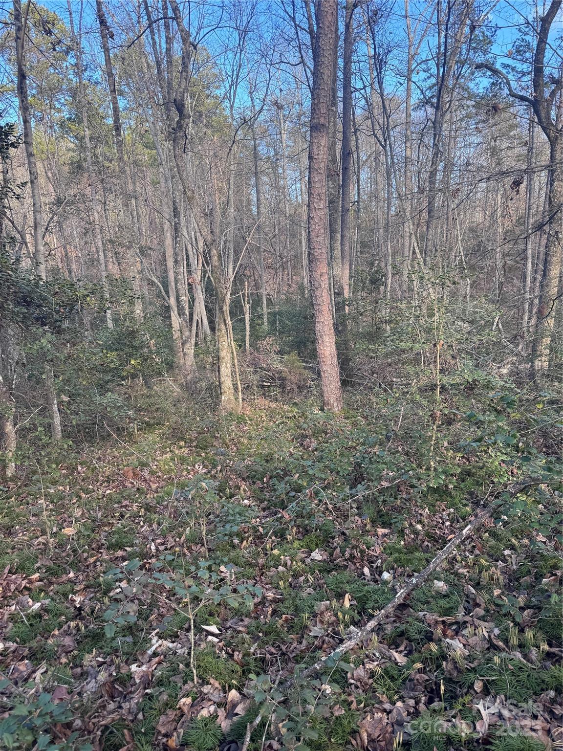 0 Hearthstone Drive Union Mills NC 28167