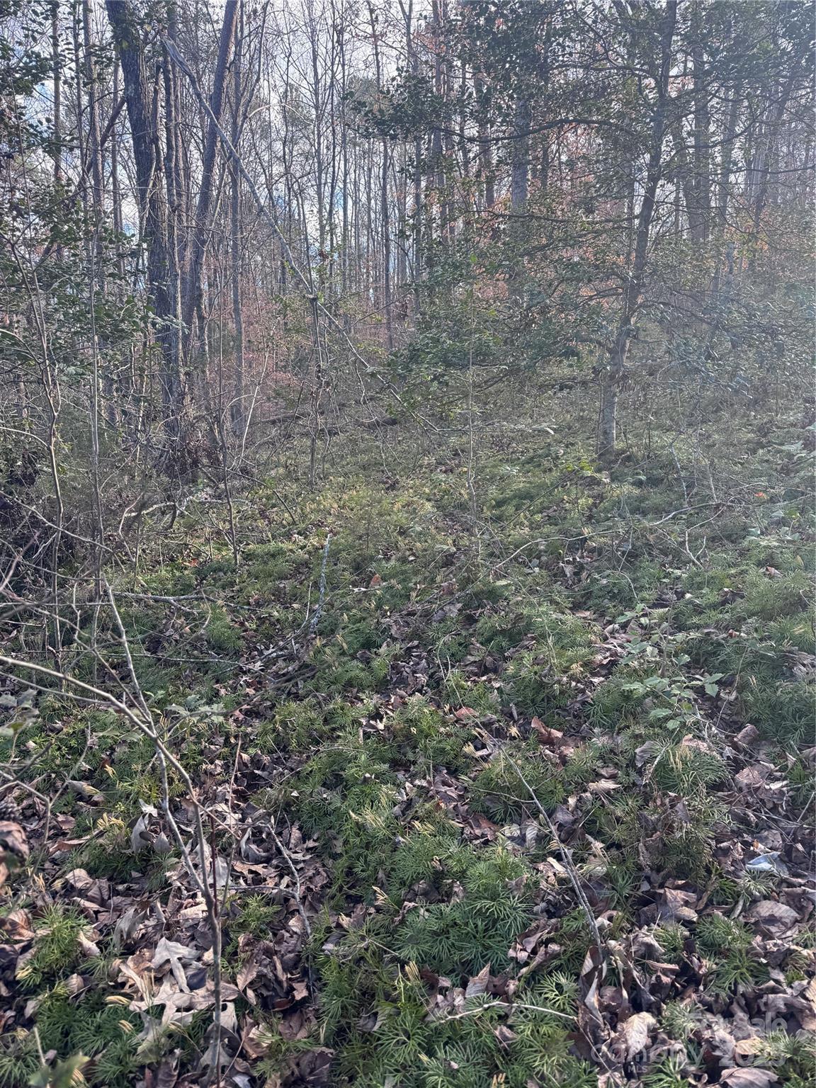 0 Hearthstone Drive Union Mills NC 28167