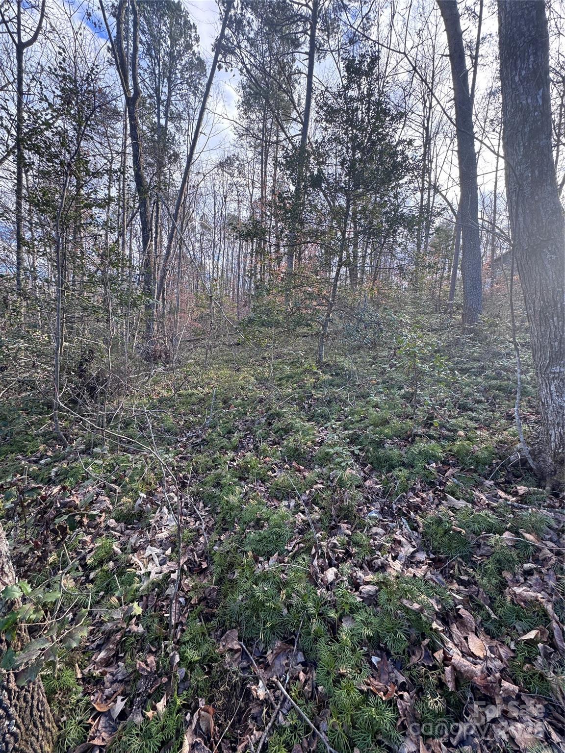 0 Hearthstone Drive Union Mills NC 28167