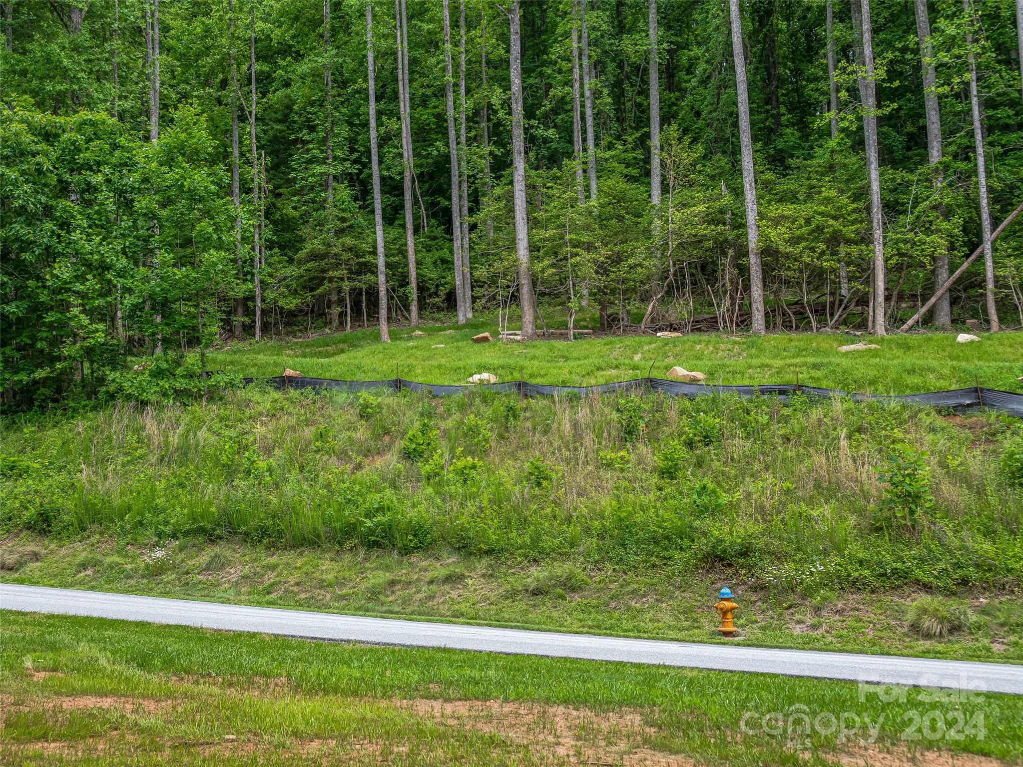 99999 Cliffsridge Parkway Arden NC 28704