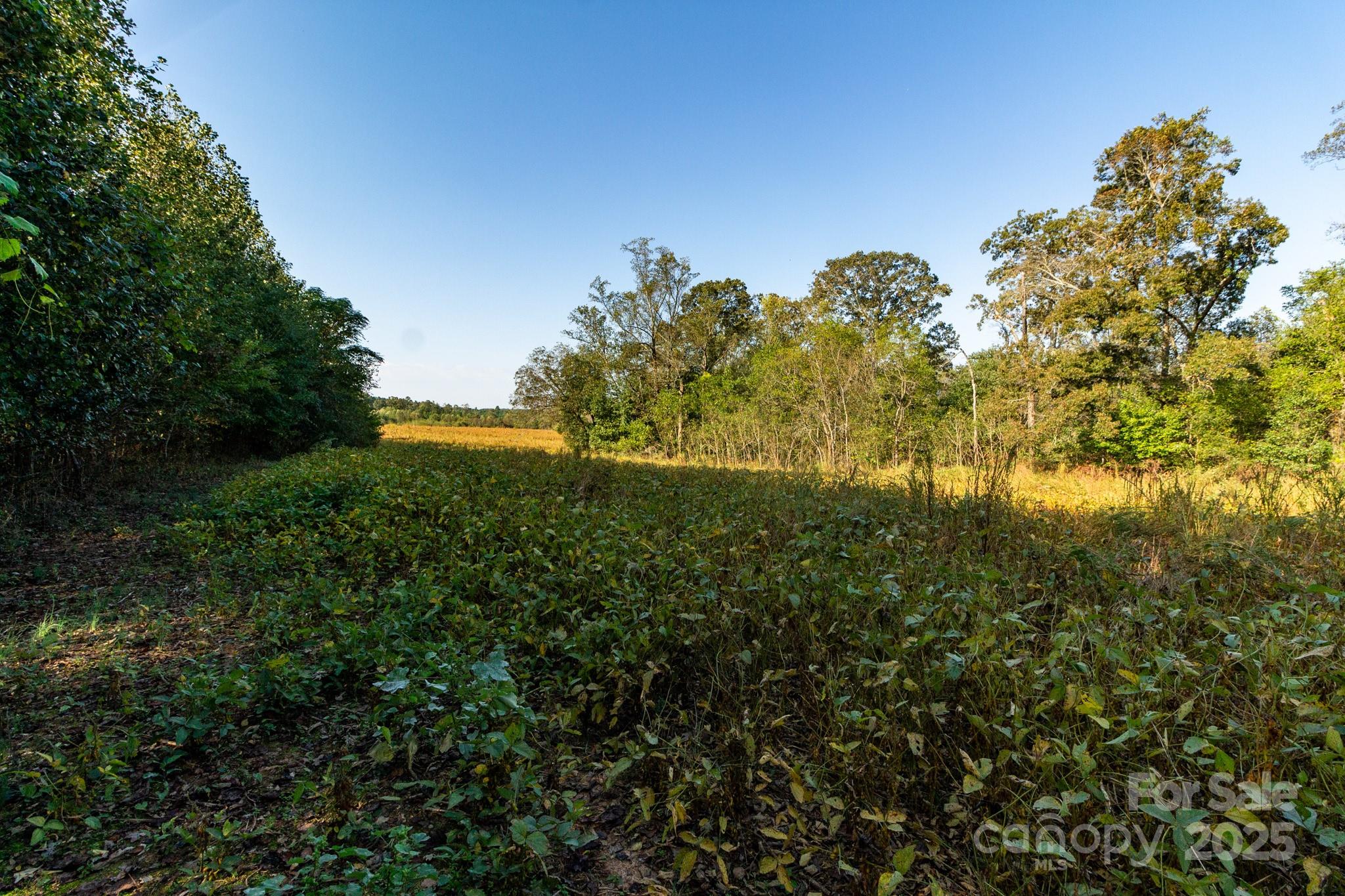 00 Lattimore Road Shelby NC 28150