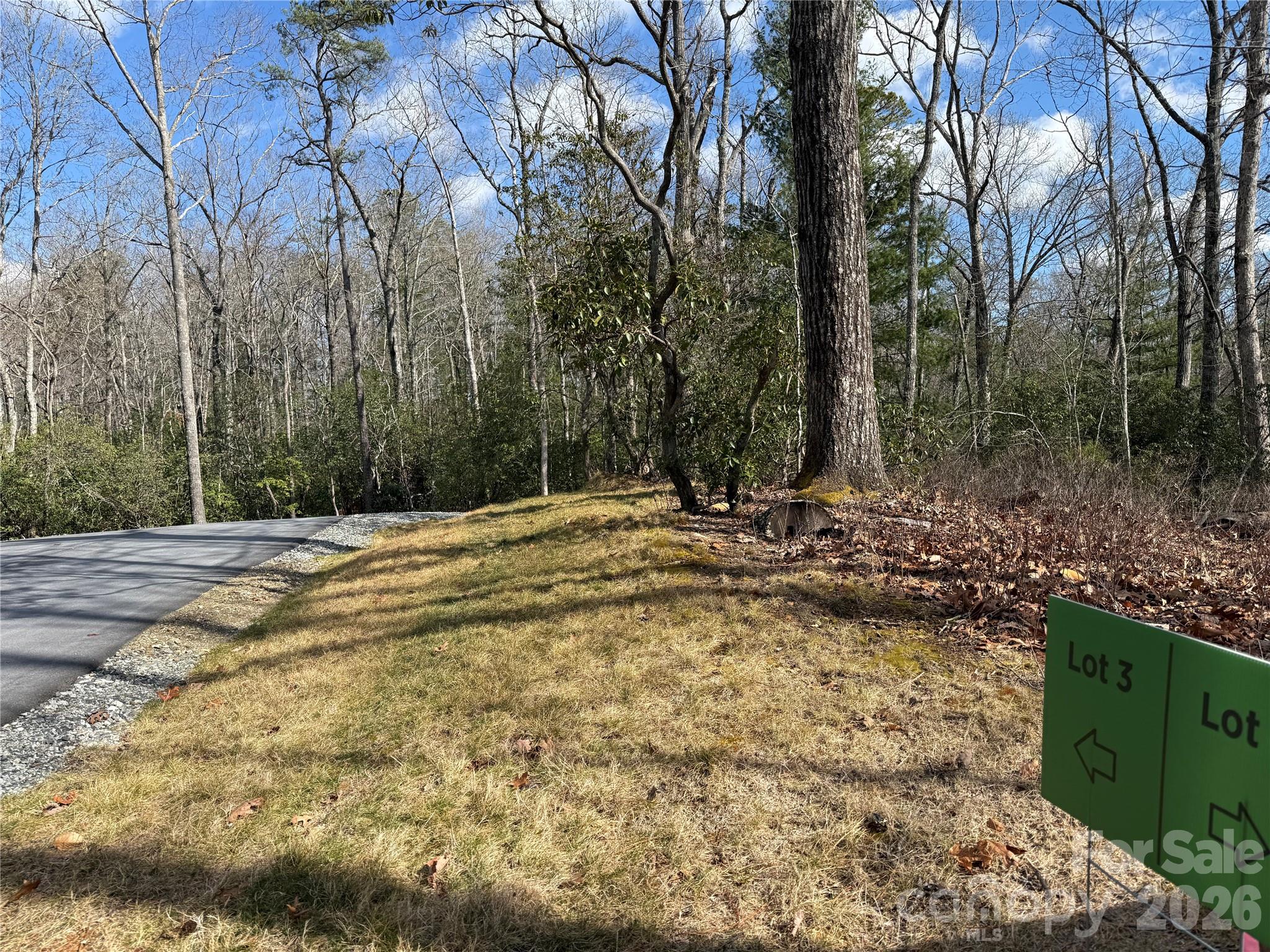 Tract 3 Turtle Ridge Trail Mills River NC 28759