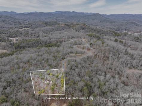 Tract 3 Turtle Ridge Trail Mills River NC 28759