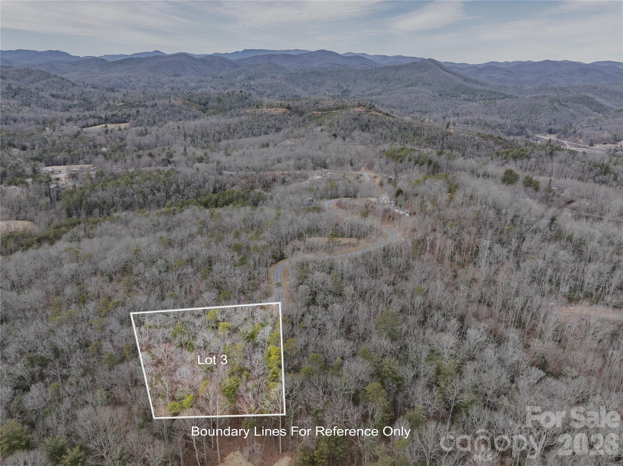 Tract 3 Turtle Ridge Trail Mills River NC 28759