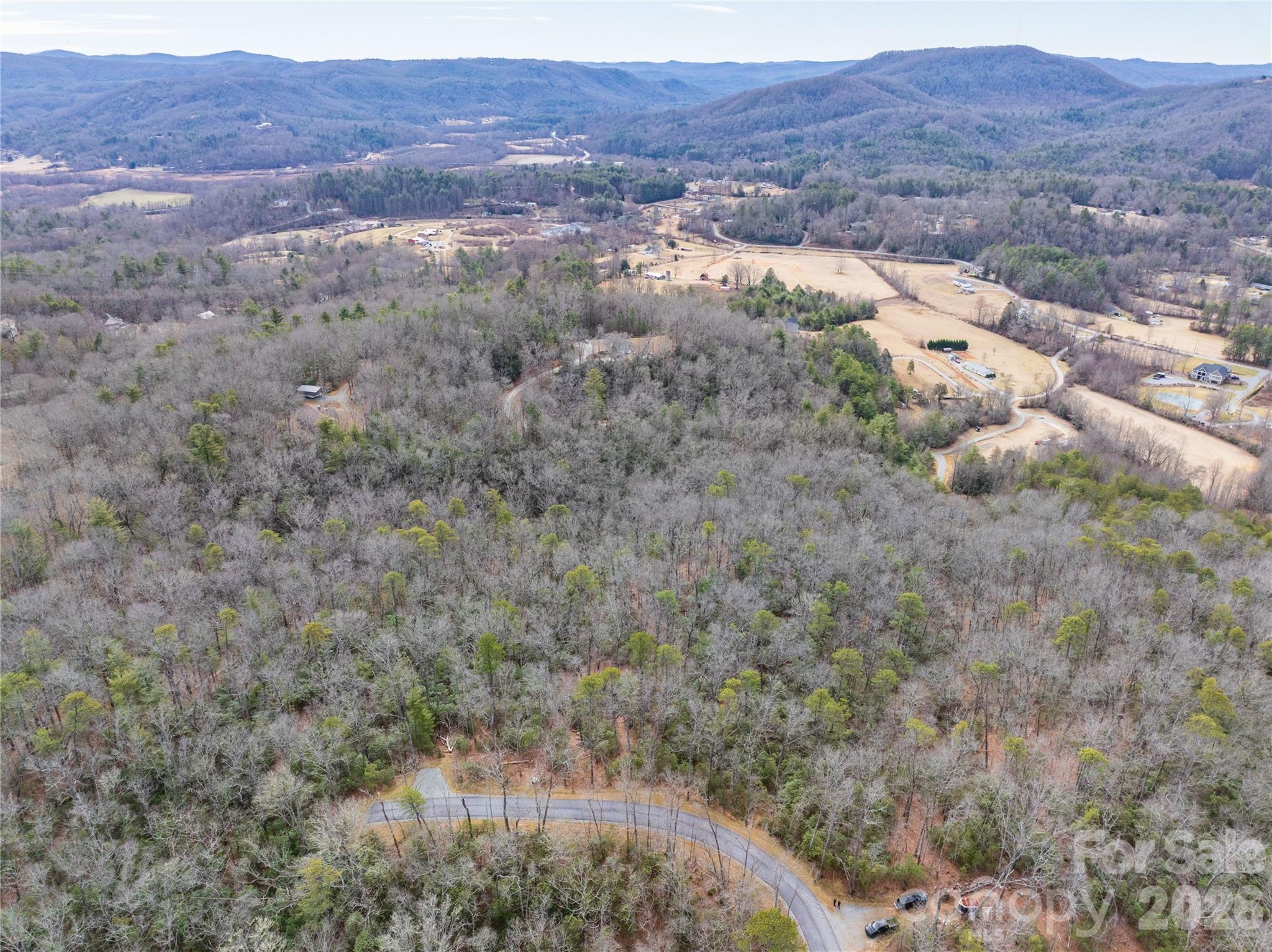 Tract 3 Turtle Ridge Trail Mills River NC 28759