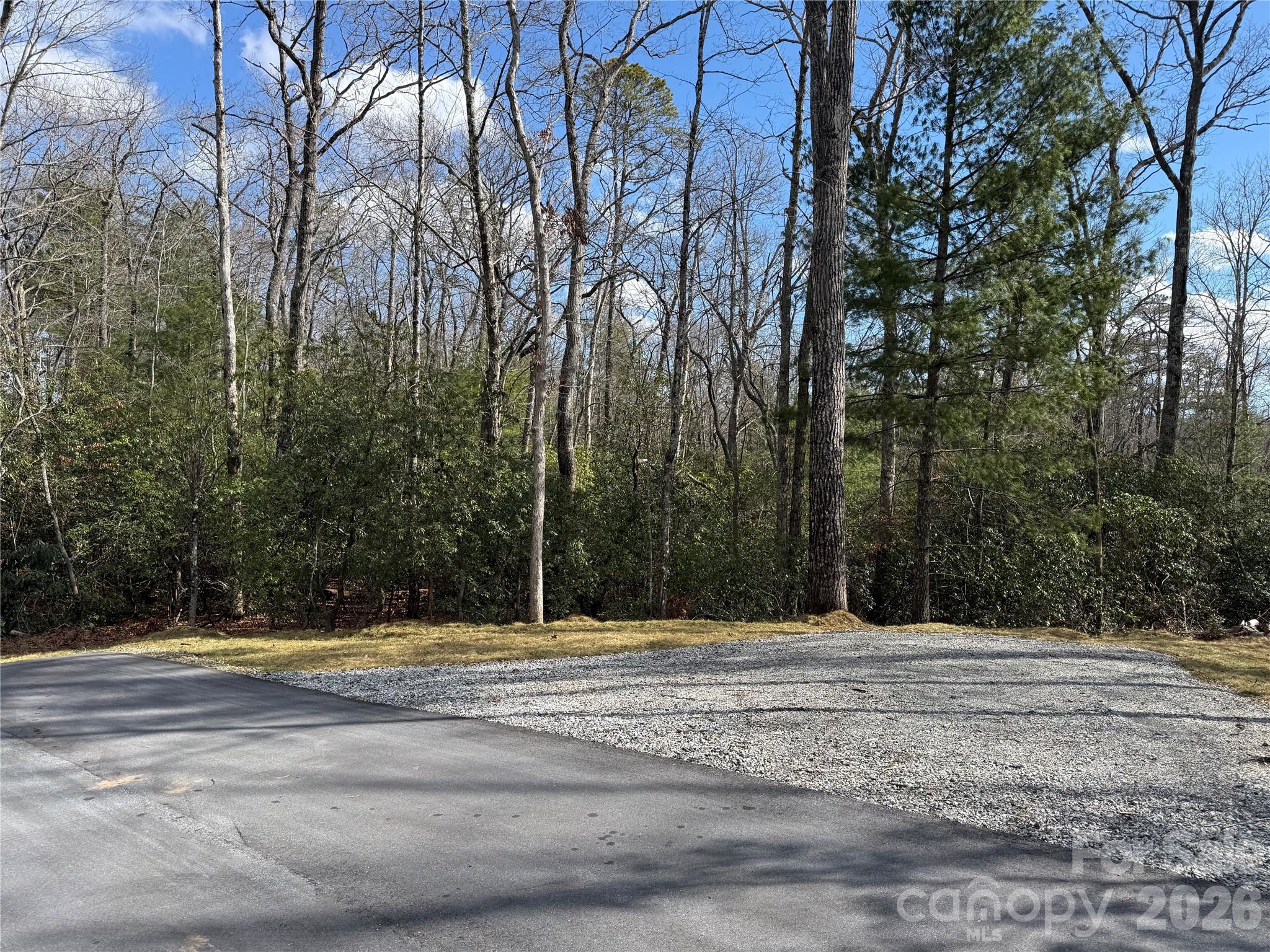 Tract 3 Turtle Ridge Trail Mills River NC 28759