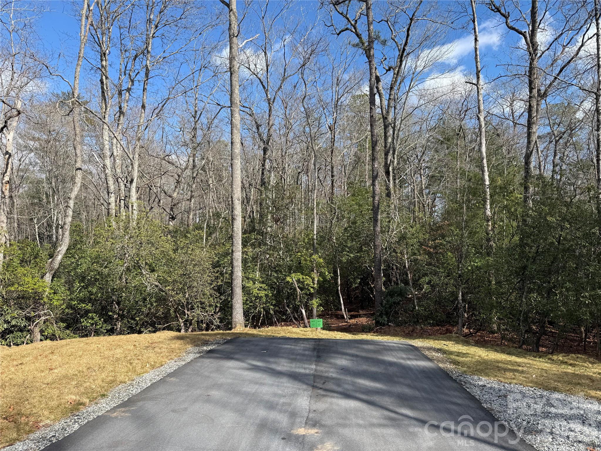 Tract 3 Turtle Ridge Trail Mills River NC 28759