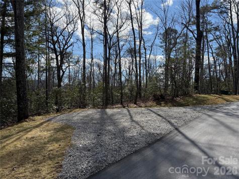 Tract 3 Turtle Ridge Trail Mills River NC 28759