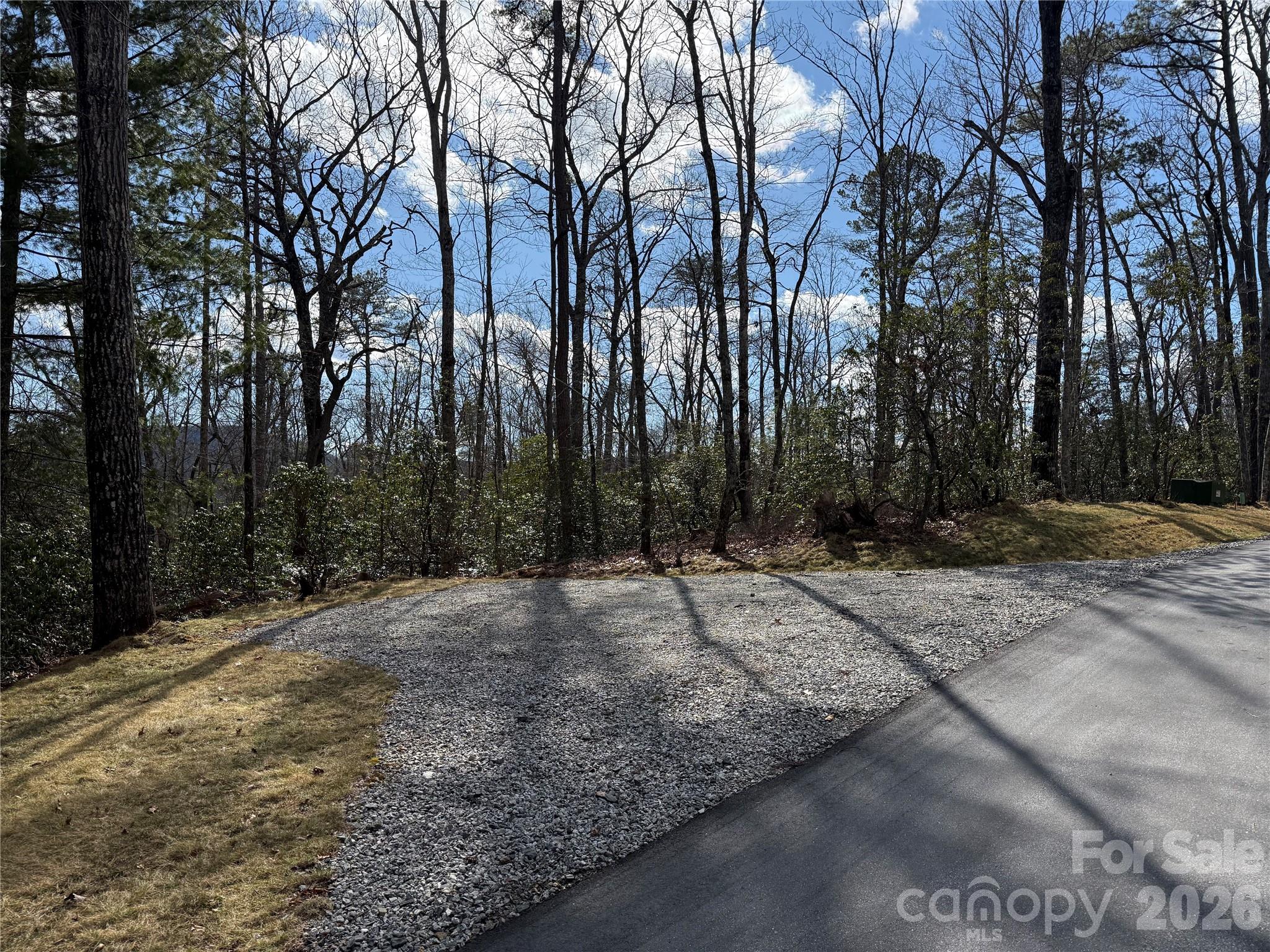 Tract 3 Turtle Ridge Trail Mills River NC 28759