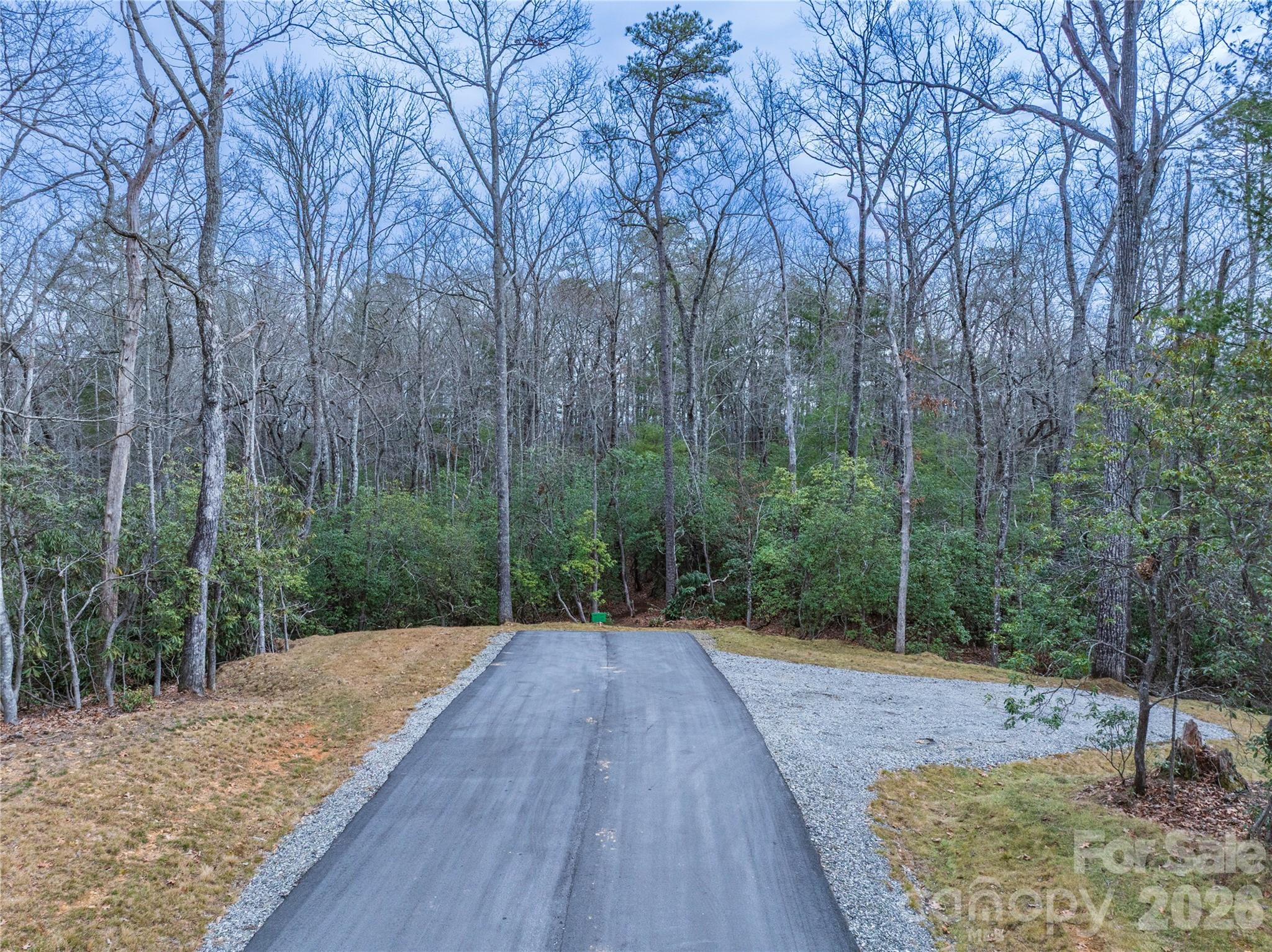Tract 3 Turtle Ridge Trail Mills River NC 28759