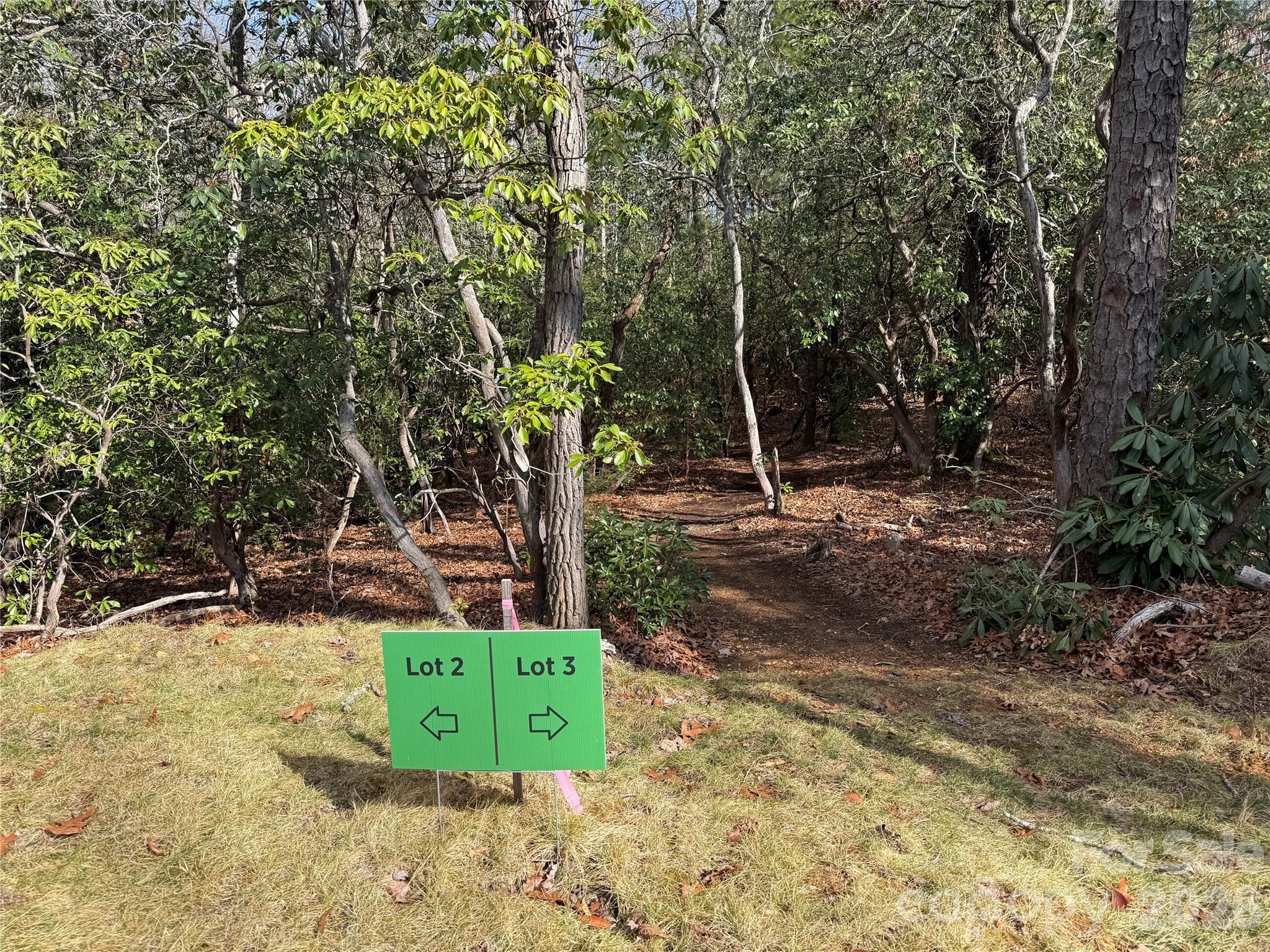Tract 3 Turtle Ridge Trail Mills River NC 28759