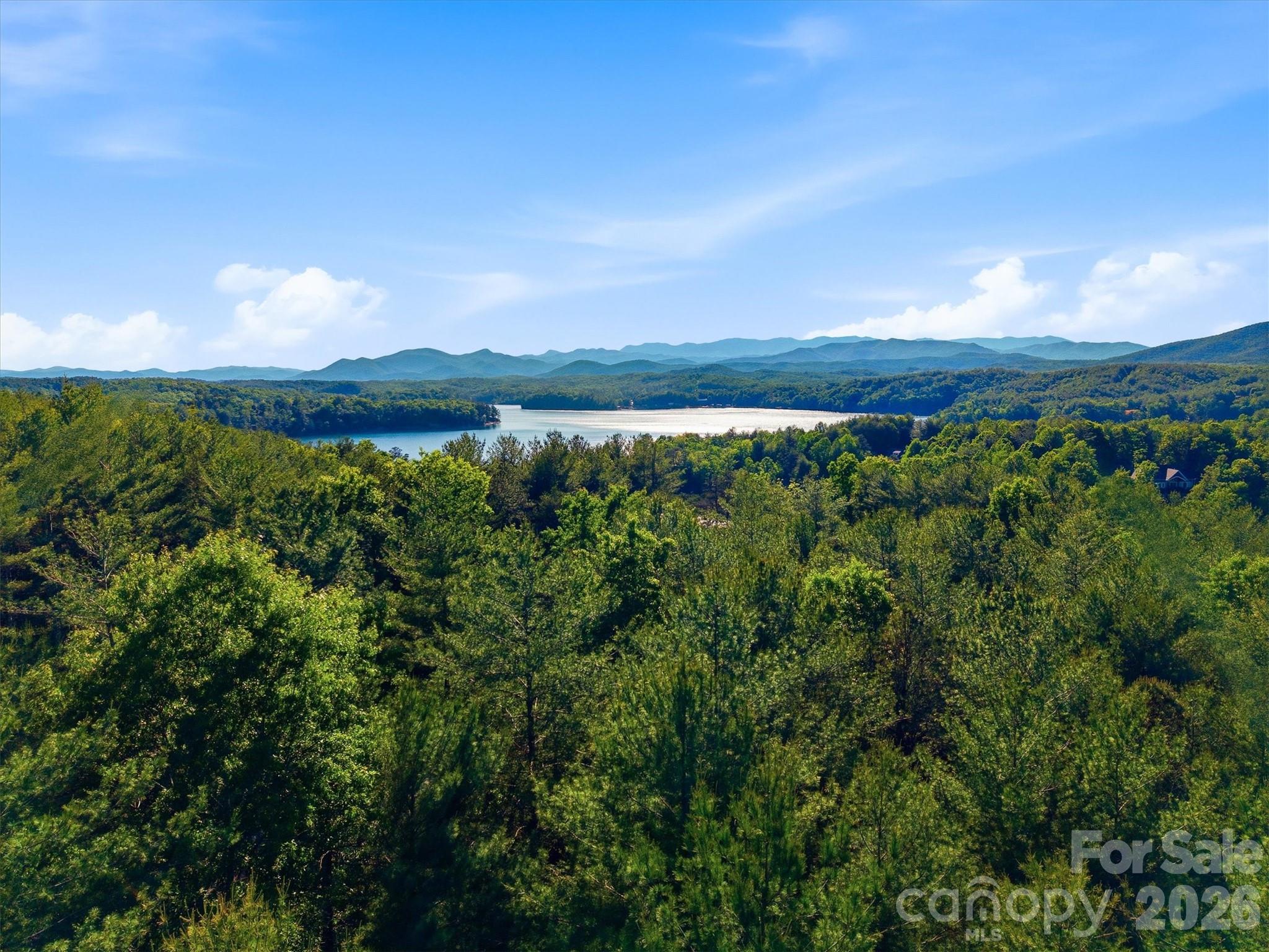 V/l Clear Water Way Nebo NC 28761