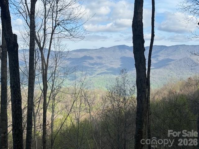 Lt 70 Old Growth Way Sylva NC 28779