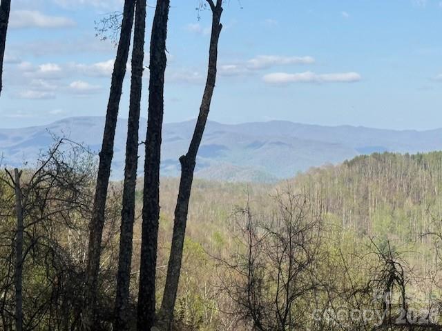 Lt 70 Old Growth Way Sylva NC 28779