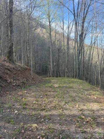 Lt 70 Old Growth Way Sylva NC 28779