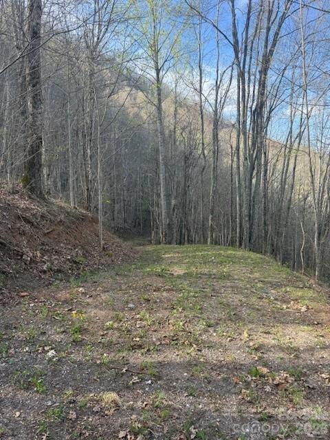 Lt 70 Old Growth Way Sylva NC 28779