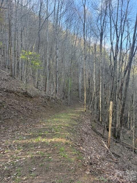 Lt 70 Old Growth Way Sylva NC 28779