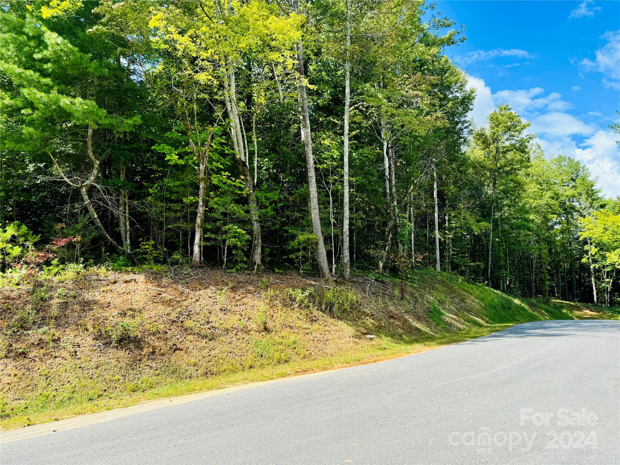 10.21, Acres Lot 90 1981 Round Mountain Parkway Lenoir NC 28645
