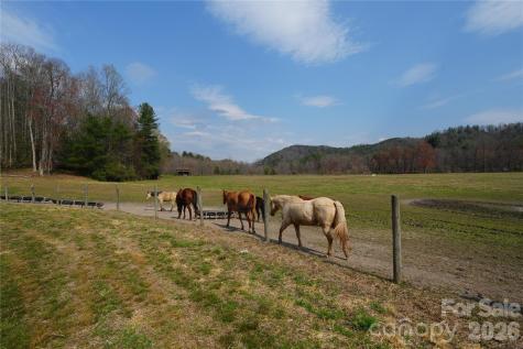 316 Lewis Fork Baptist Church Road Purlear NC 28665
