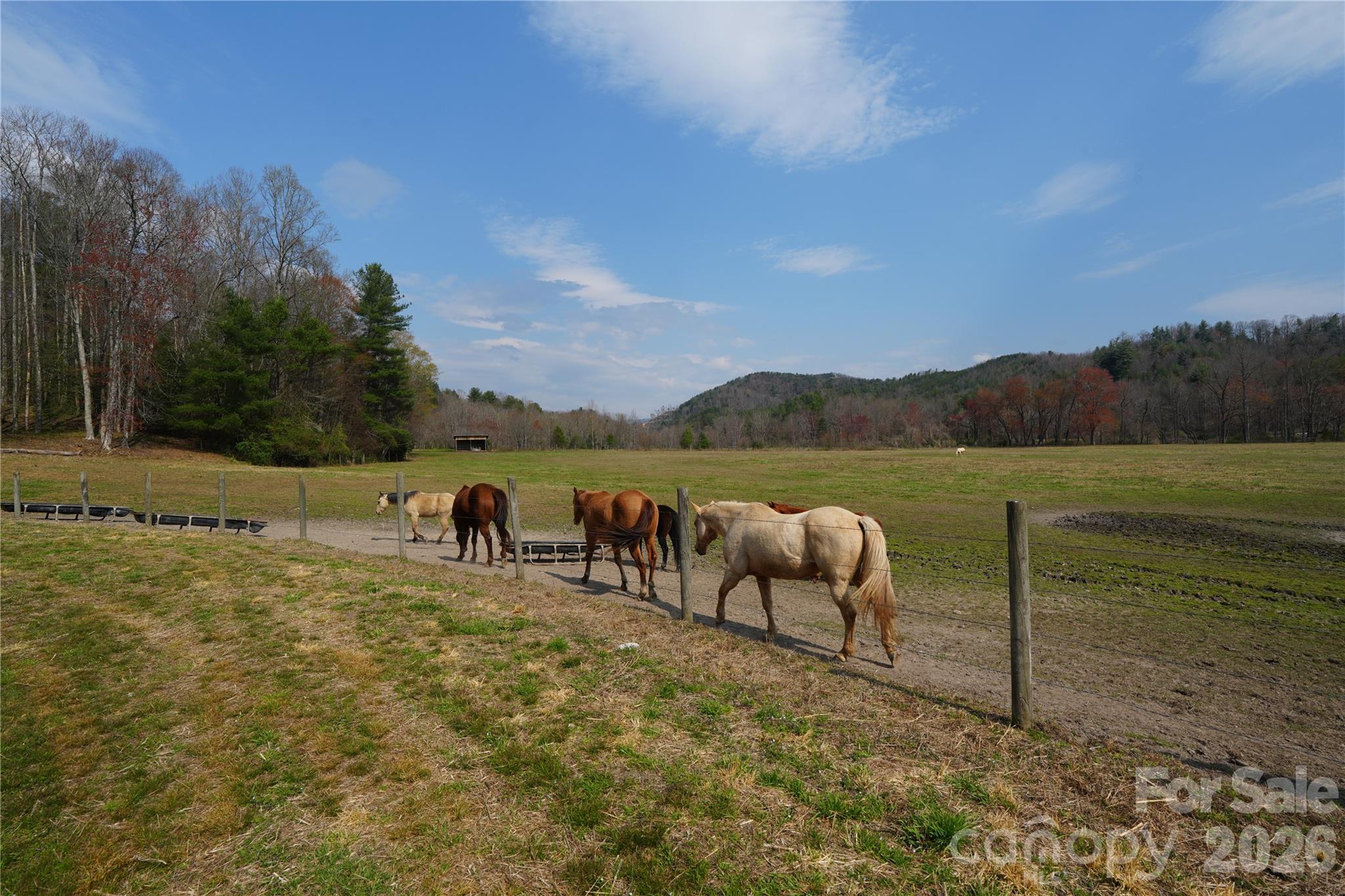 316 Lewis Fork Baptist Church Road Purlear NC 28665