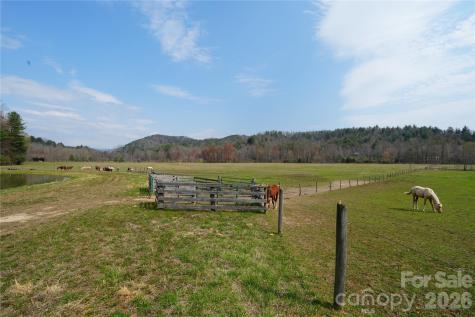 316 Lewis Fork Baptist Church Road Purlear NC 28665