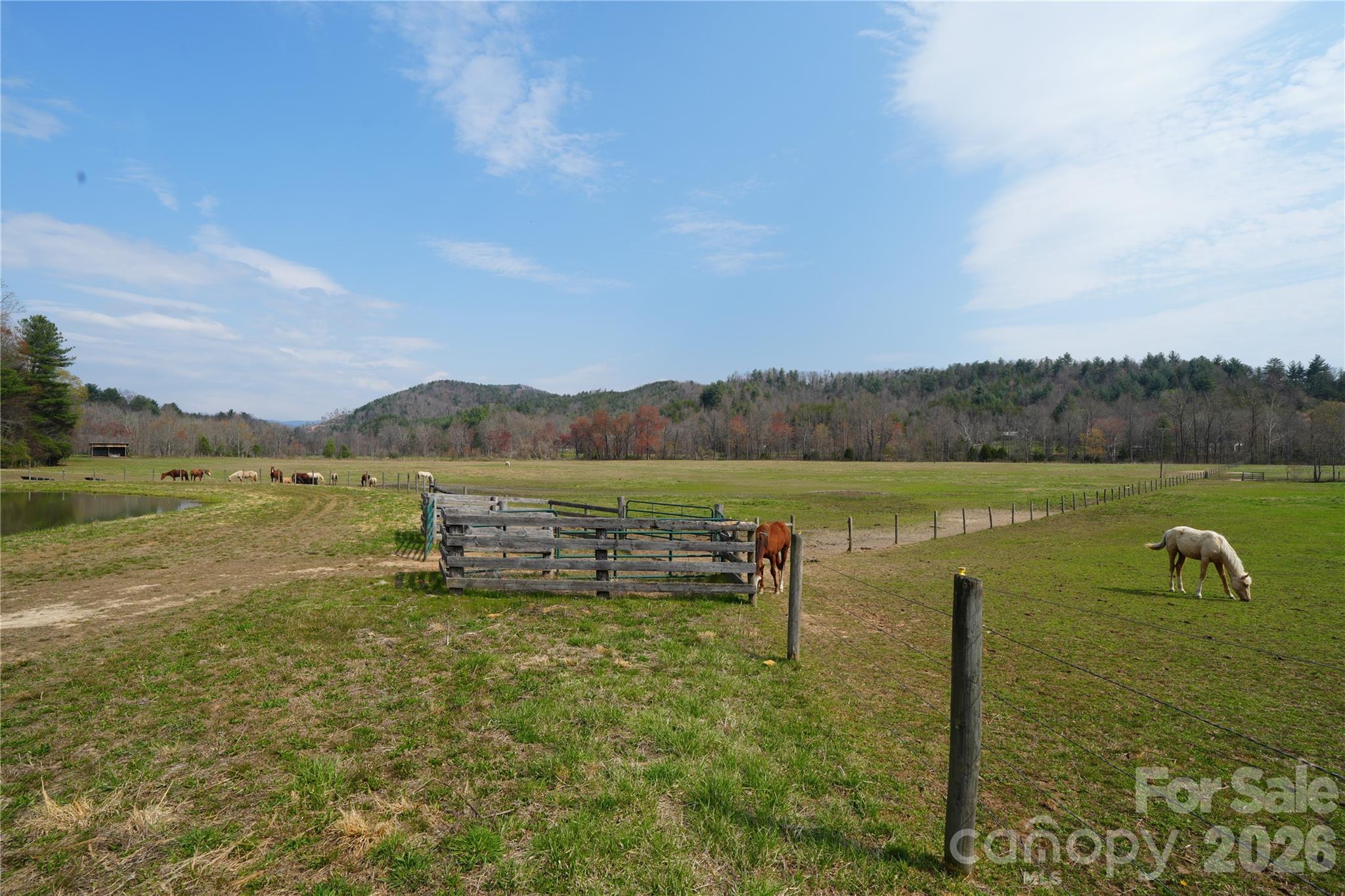 316 Lewis Fork Baptist Church Road Purlear NC 28665