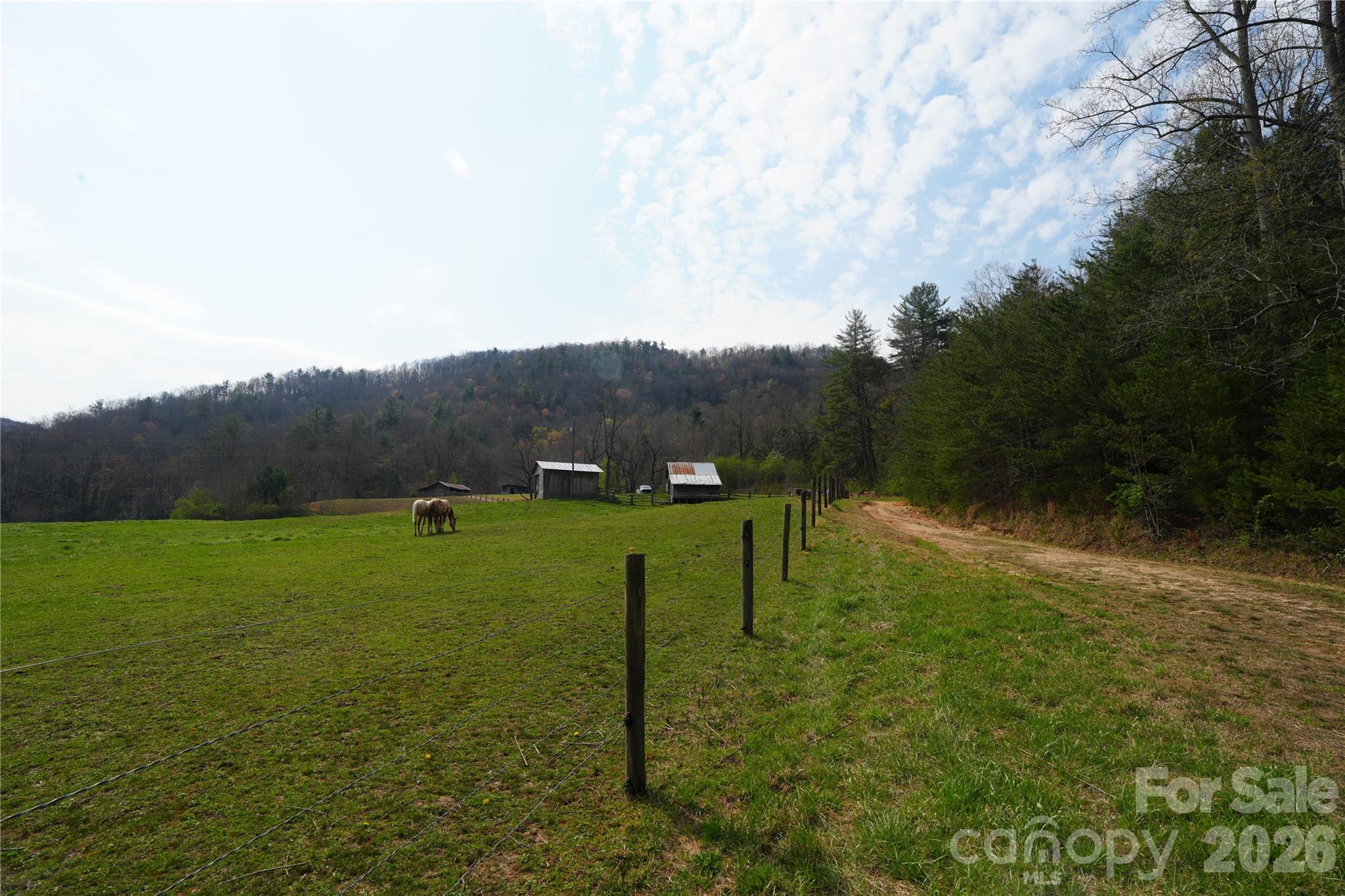 316 Lewis Fork Baptist Church Road Purlear NC 28665