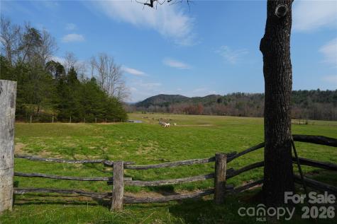 316 Lewis Fork Baptist Church Road Purlear NC 28665