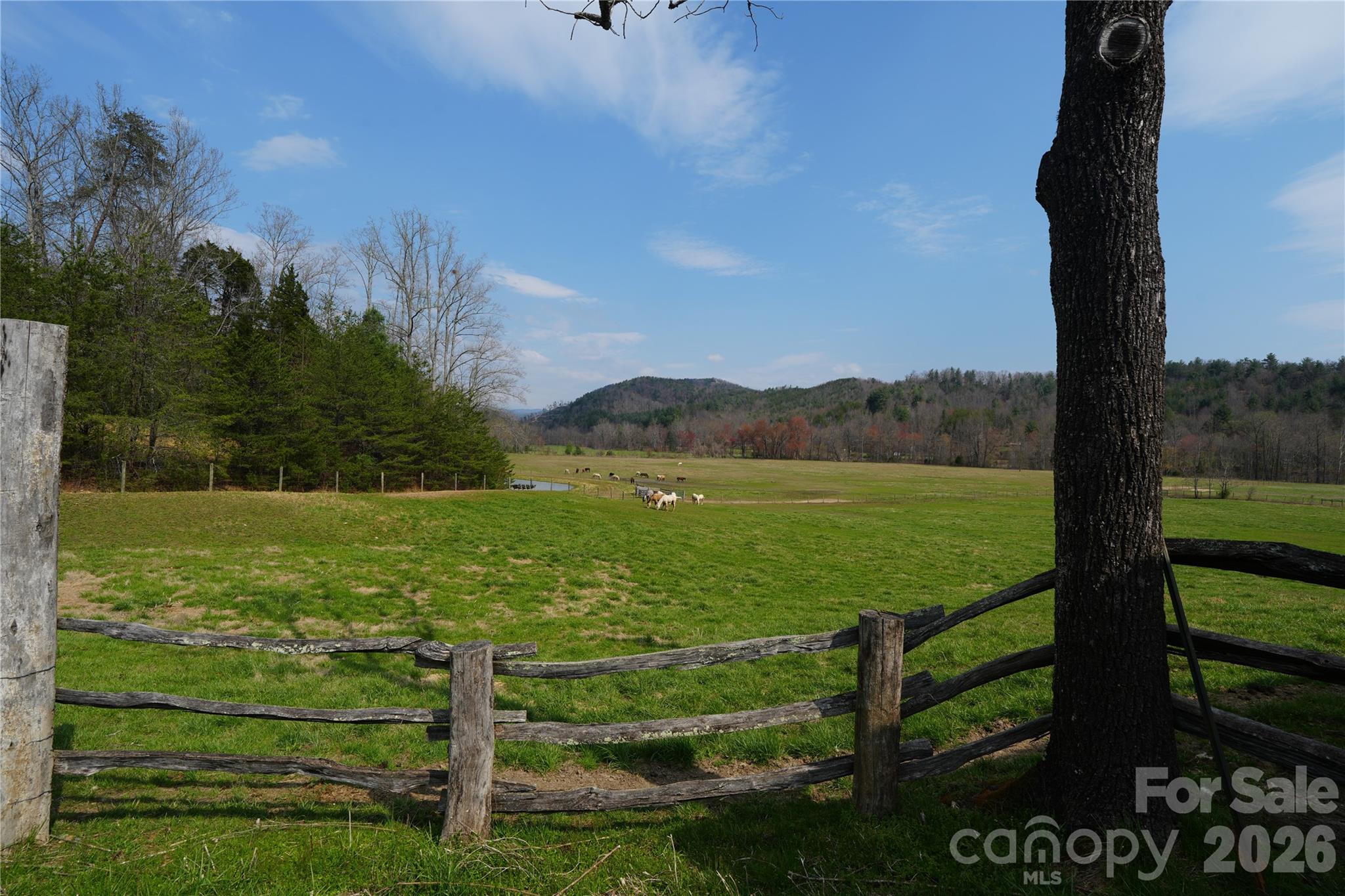 316 Lewis Fork Baptist Church Road Purlear NC 28665
