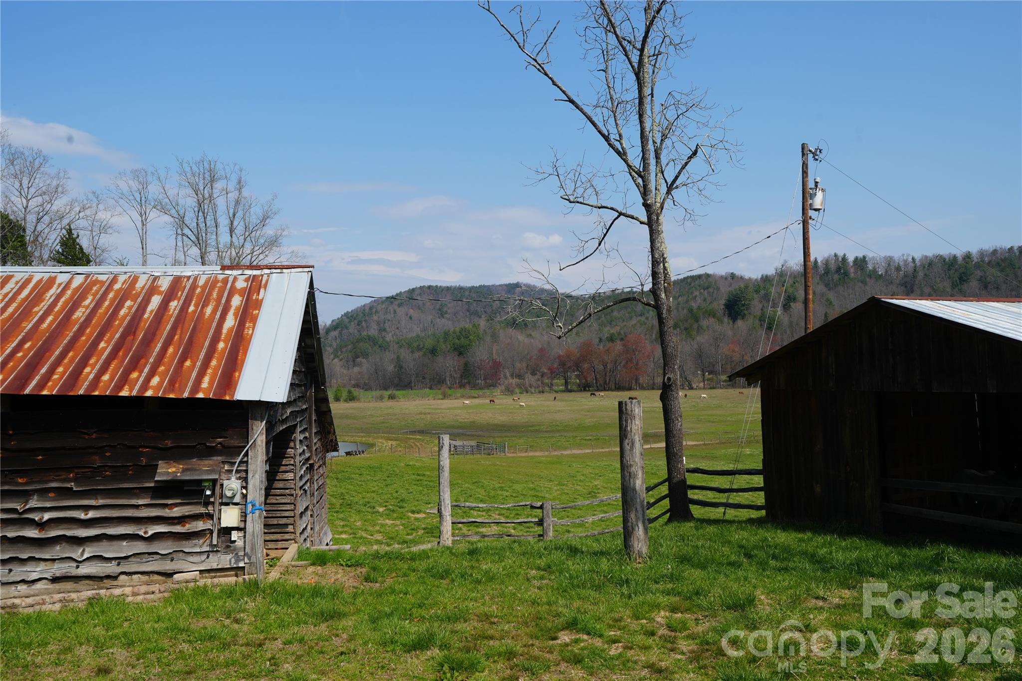 316 Lewis Fork Baptist Church Road Purlear NC 28665