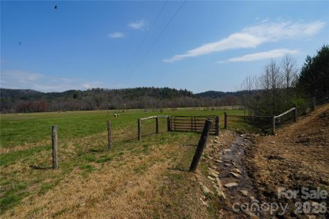 316 Lewis Fork Baptist Church Road Purlear NC 28665