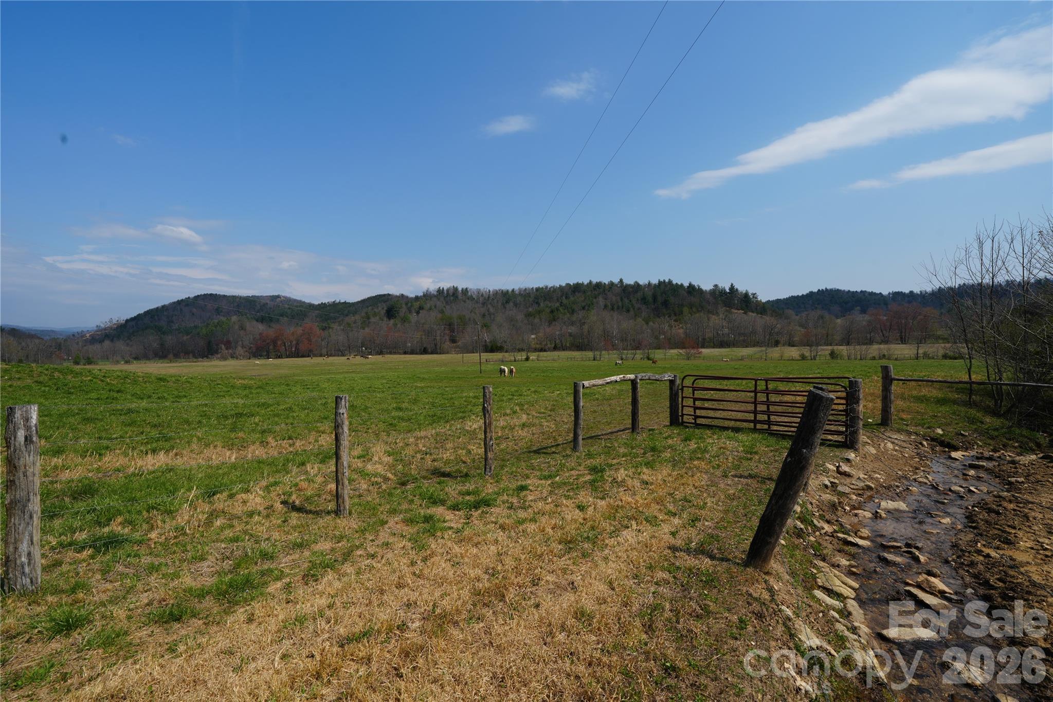 316 Lewis Fork Baptist Church Road Purlear NC 28665