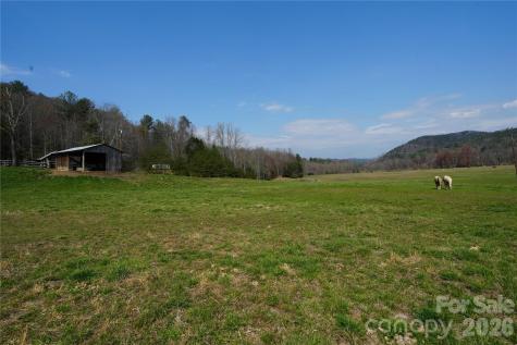 316 Lewis Fork Baptist Church Road Purlear NC 28665