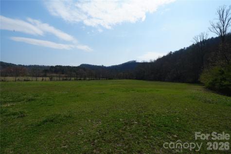 316 Lewis Fork Baptist Church Road Purlear NC 28665