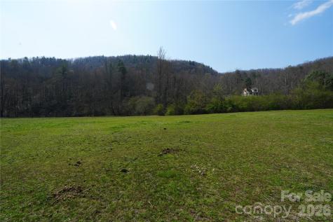 316 Lewis Fork Baptist Church Road Purlear NC 28665