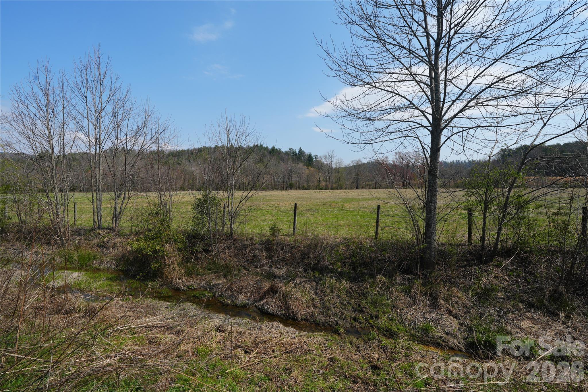 316 Lewis Fork Baptist Church Road Purlear NC 28665
