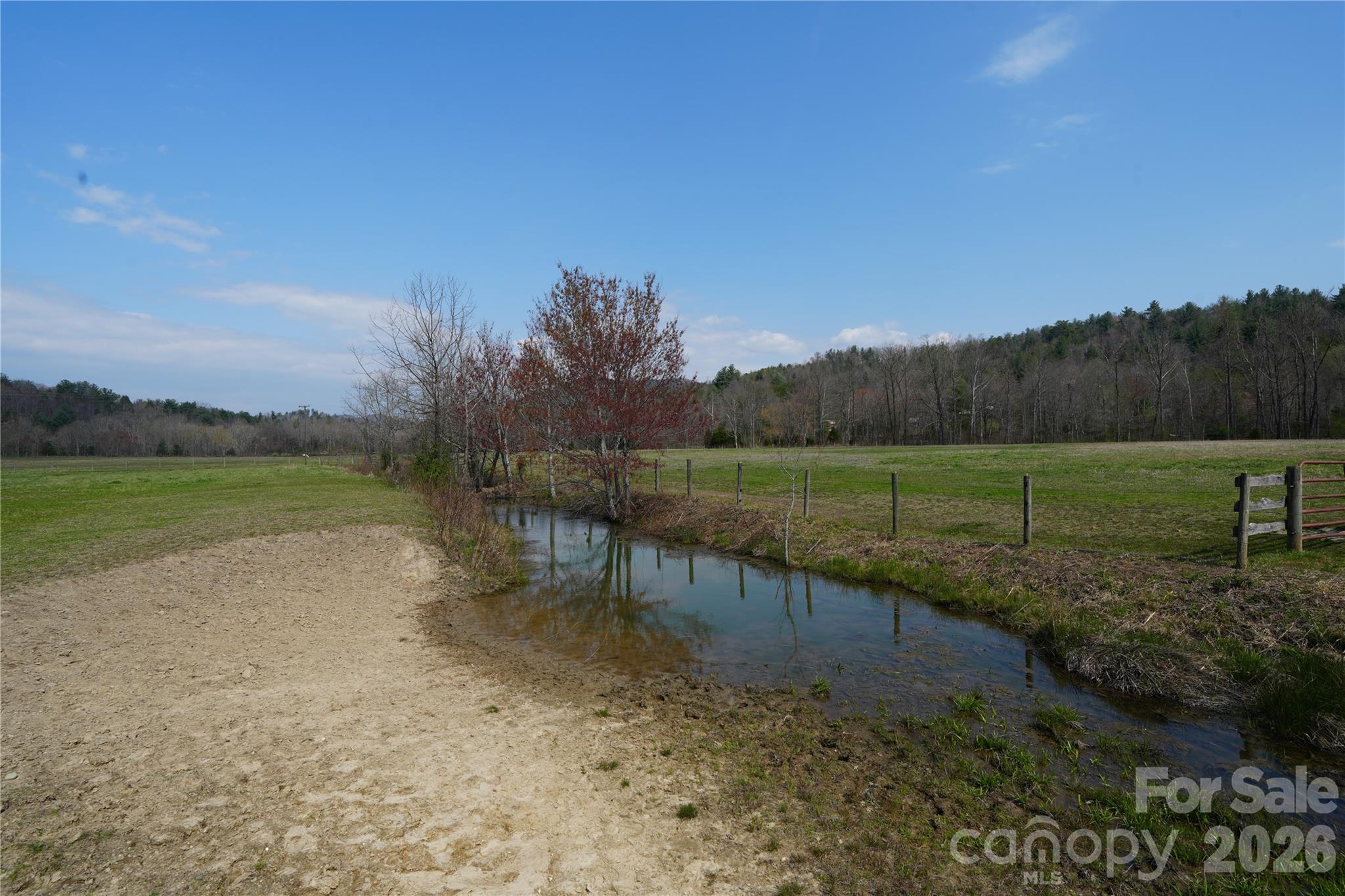 316 Lewis Fork Baptist Church Road Purlear NC 28665