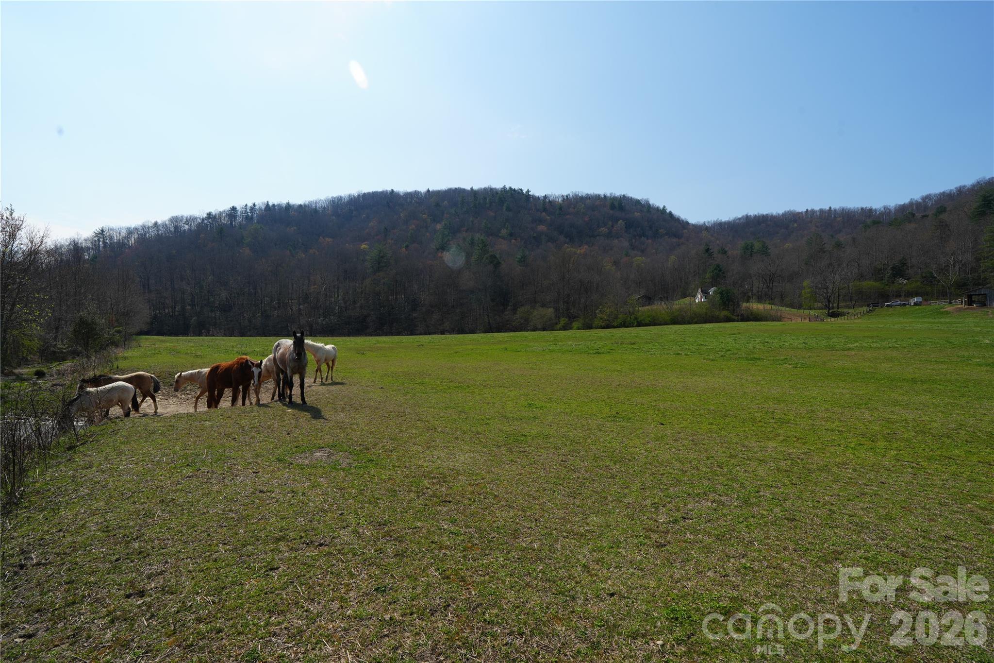 316 Lewis Fork Baptist Church Road Purlear NC 28665