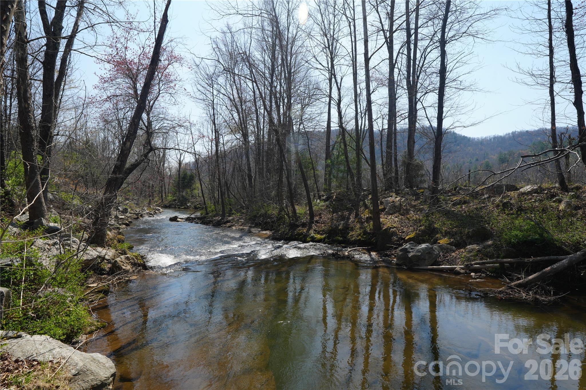316 Lewis Fork Baptist Church Road Purlear NC 28665