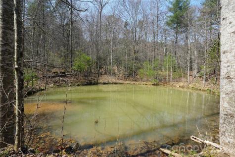 316 Lewis Fork Baptist Church Road Purlear NC 28665