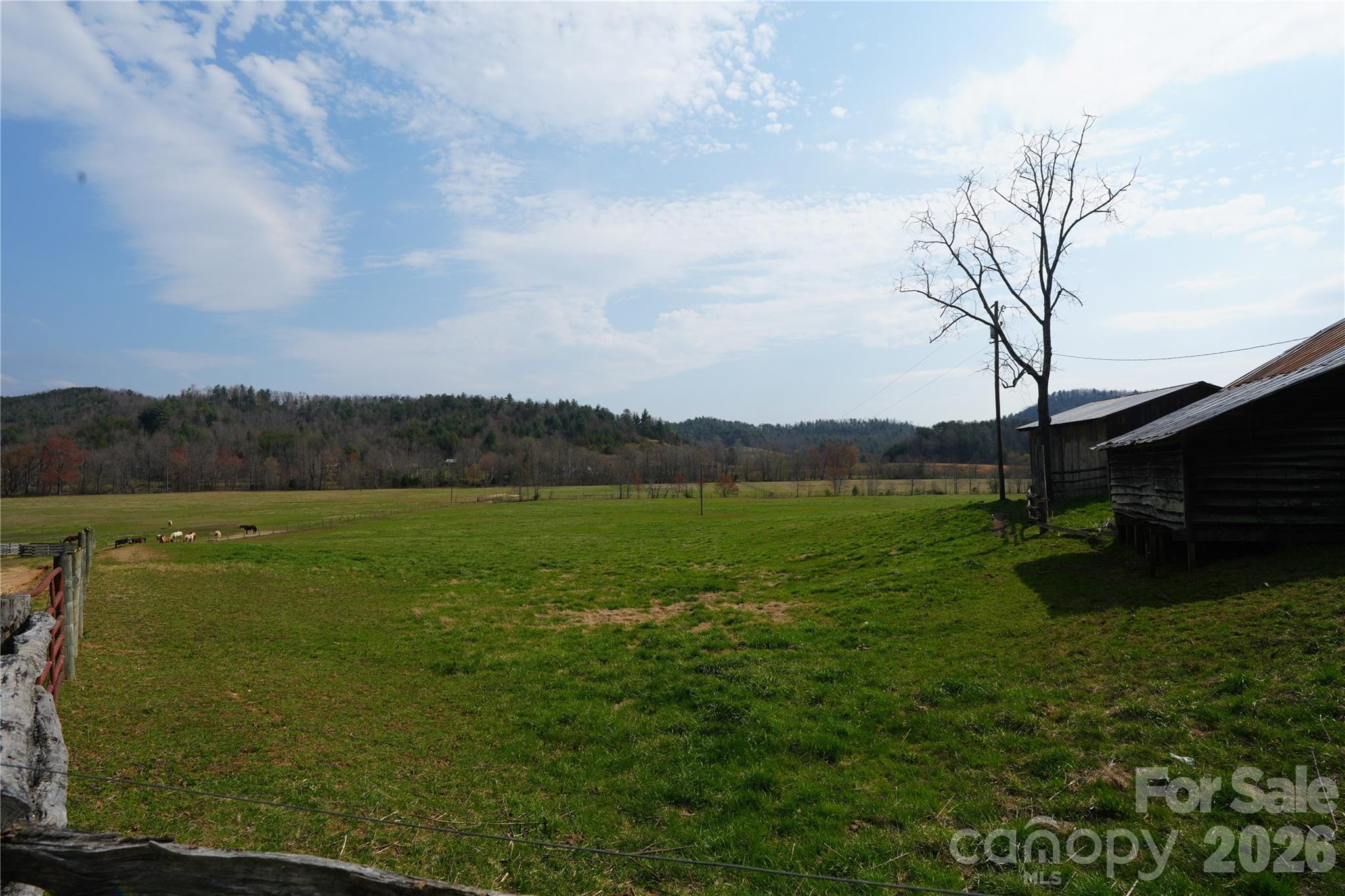 316 Lewis Fork Baptist Church Road Purlear NC 28665