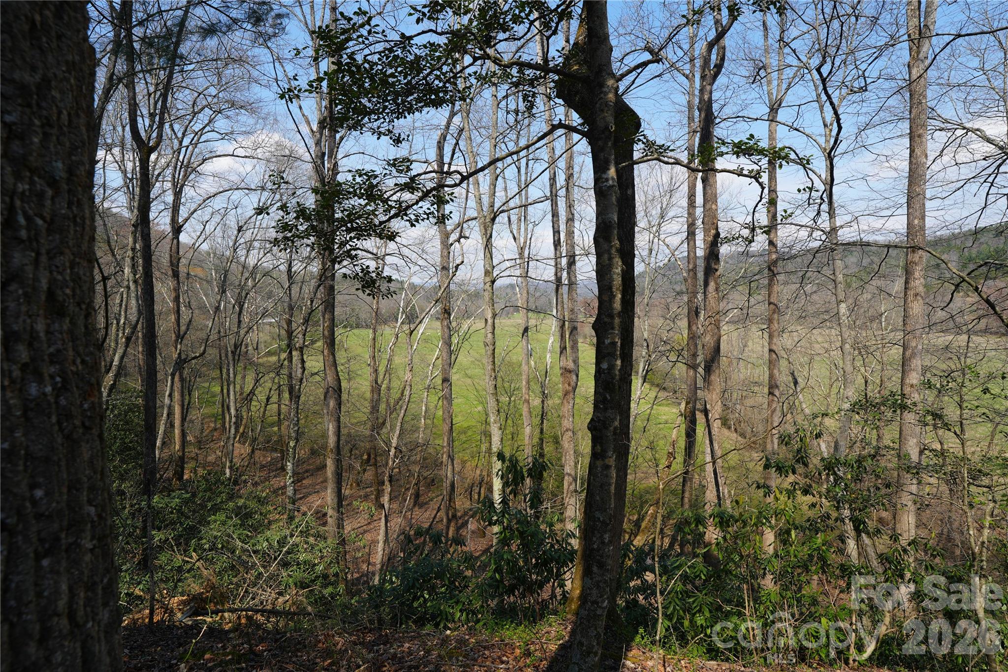 316 Lewis Fork Baptist Church Road Purlear NC 28665