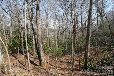 316 Lewis Fork Baptist Church Road Purlear NC 28665