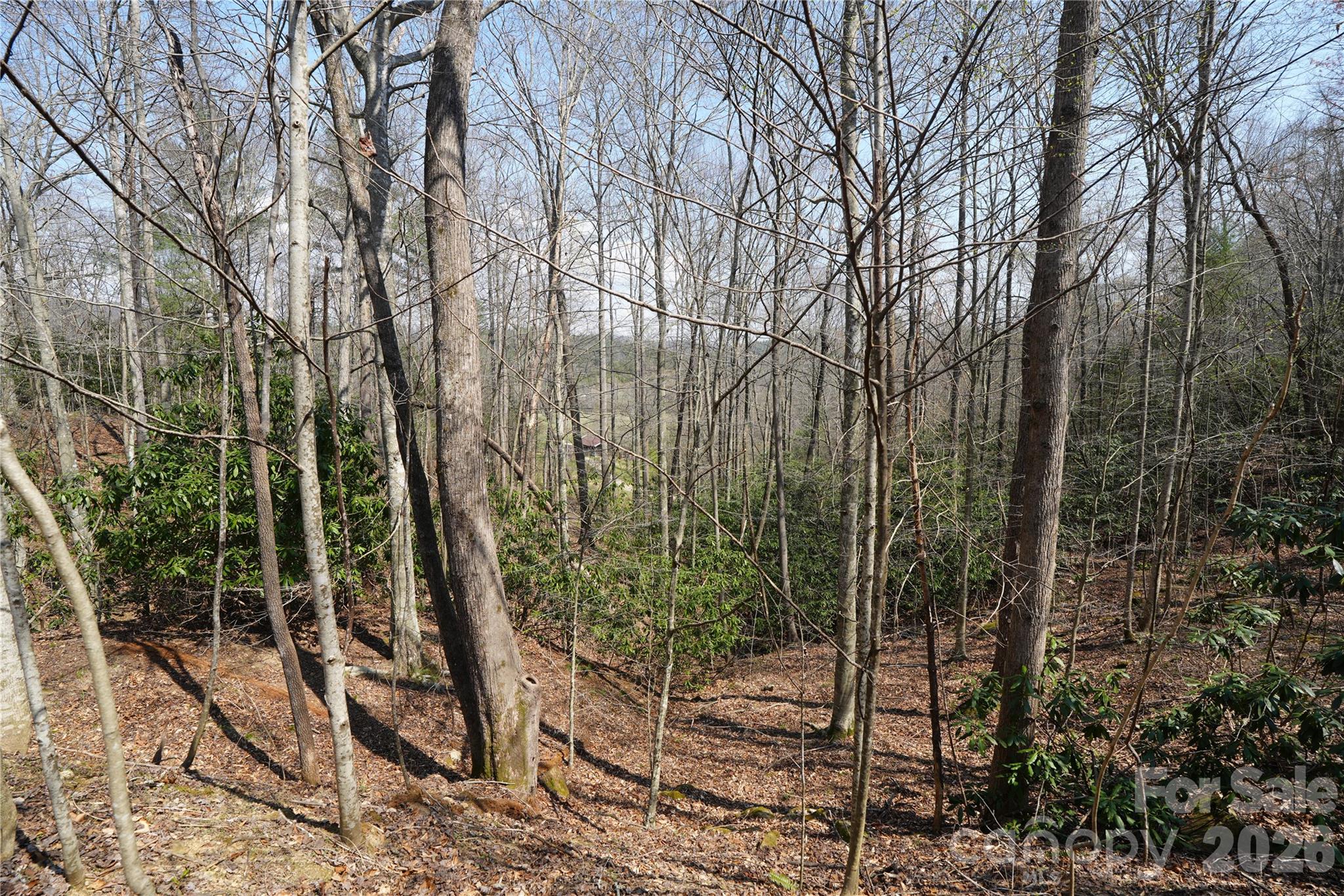 316 Lewis Fork Baptist Church Road Purlear NC 28665