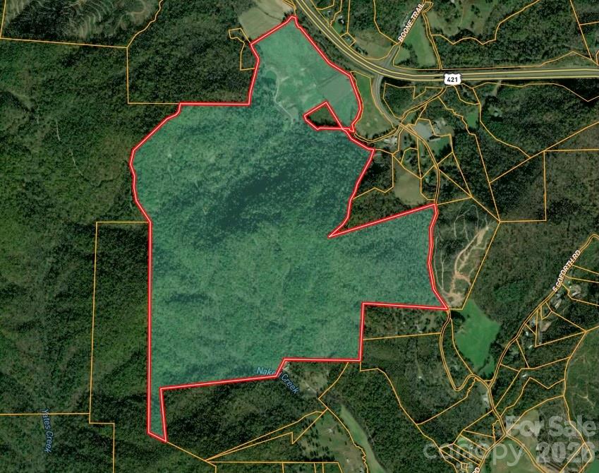 316 Lewis Fork Baptist Church Road Purlear NC 28665
