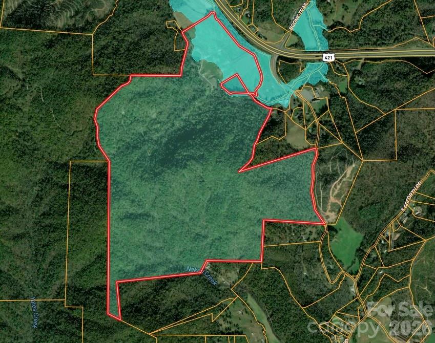 316 Lewis Fork Baptist Church Road Purlear NC 28665