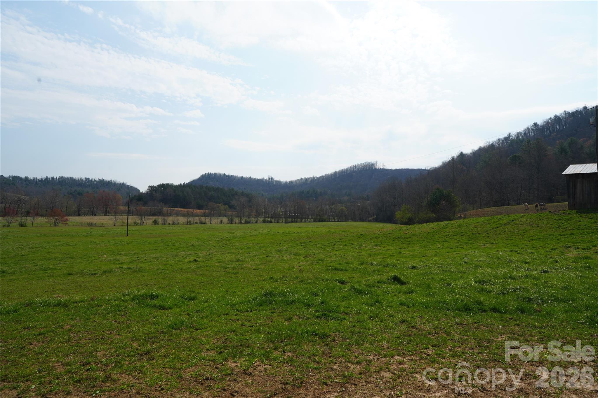 316 Lewis Fork Baptist Church Road Purlear NC 28665