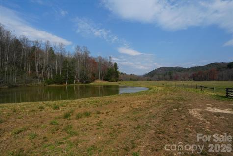 316 Lewis Fork Baptist Church Road Purlear NC 28665